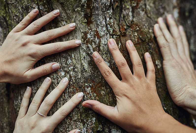 Hands touching a tree